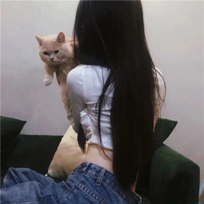 私人定制的商务伴游服务解析